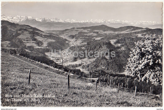 Blick vom Hornli-Kulm 1137 m ins Tosstal mit Alpen - Berggasthaus - 5309 - Switzerland - 1973 - used - JH Postcards