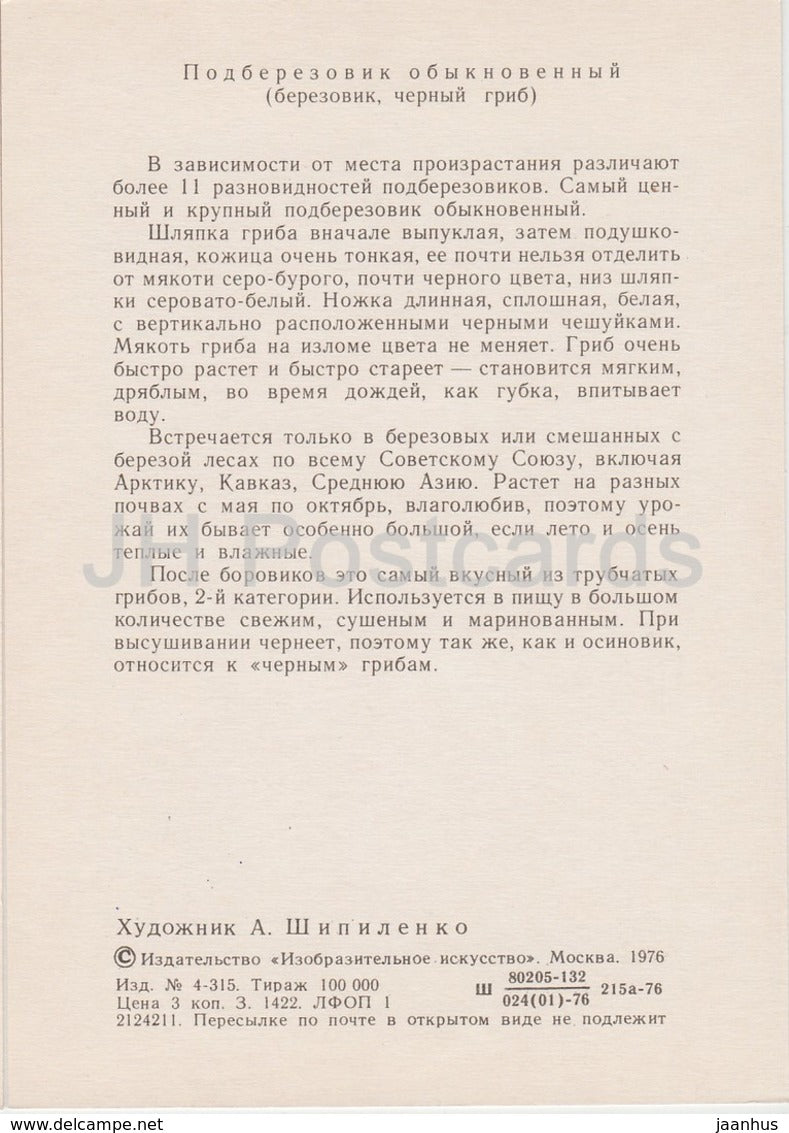 Birch bolete - Leccinum scabrum - illustration by A. Shipilenko - Mushrooms - 1976 - Russia USSR - unused - JH Postcards