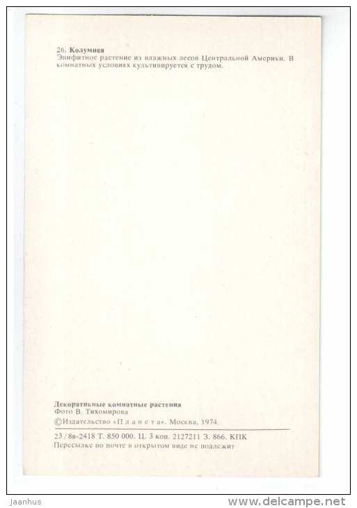 Columnea - Decorative House Plants - flowers - 1974 - Russia USSR - unused - JH Postcards