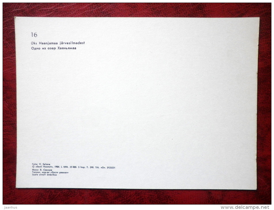 Võrumaa - Lake in Haanjamaa - 1984 - Estonia - USSR - unused - JH Postcards