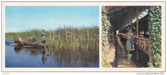 muskrat breeding - Karakalpakstan - 1974 - Uzbekistan USSR - unused - JH Postcards