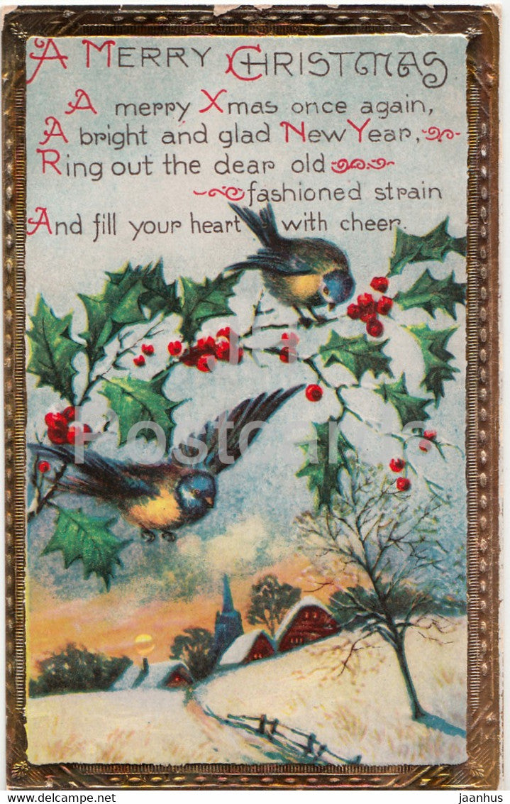 Christmas Greeting Card - A Merry Christmas - blue tits - birds - 1144 - old postcard - United Kingdom - used - JH Postcards