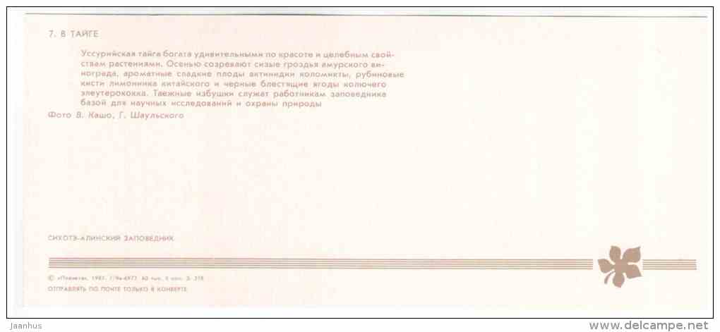 Amur Grape - Actinidia kolomikta - Schizandra - In Taiga - Sikhote-Alin Nature Reserve - 1987 - Russia USSR - unused - JH Postcards