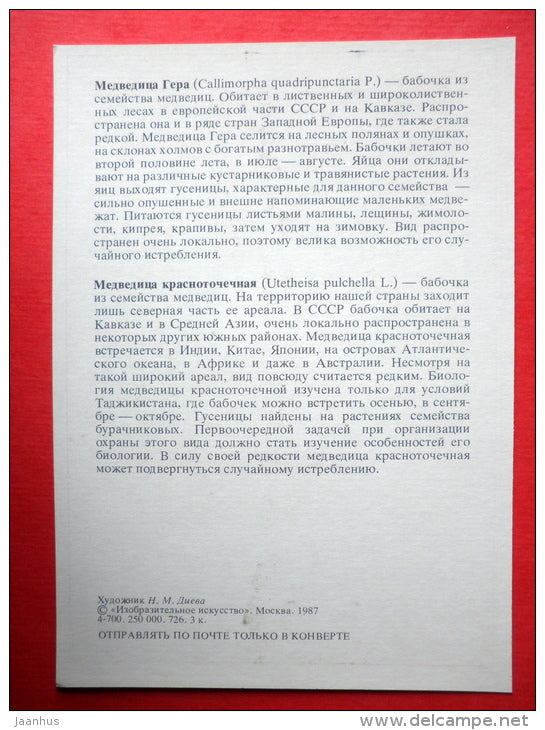 The Crimson-speckled Flunkey - Jersey Tiger Moth , Callimorpha quadripunctaria - insects - 1987 - Russia USSR - unused - JH Postcards