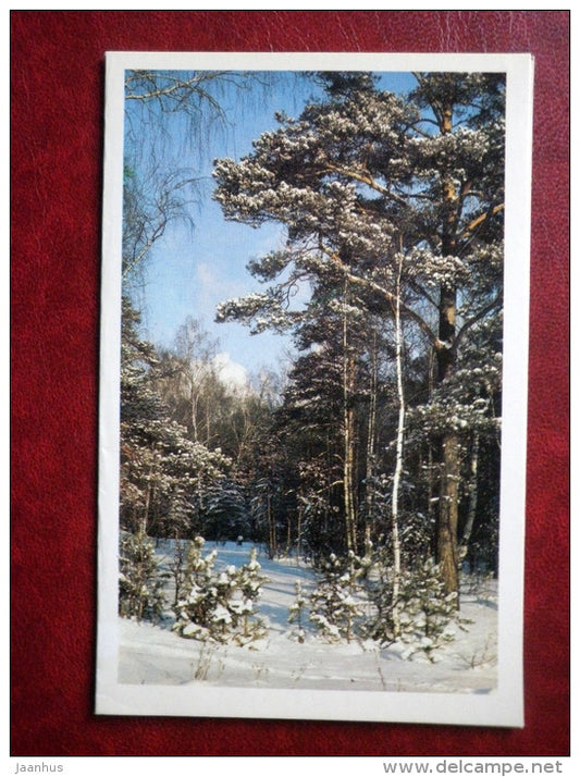 New Year Greeting card - winter forest - 1982 - Russia USSR - used - JH Postcards