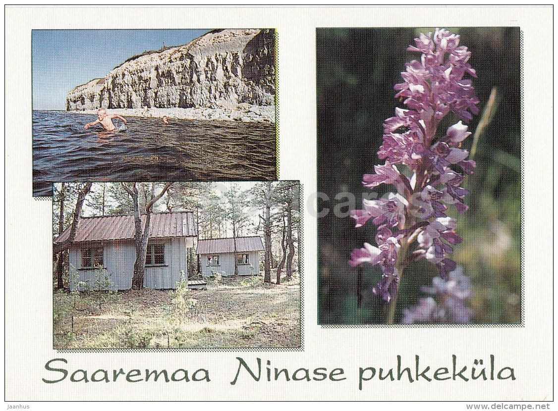 Ninase Holiday Village - cliff - flower - Saaremaa - 1990s - Estonia - unused - JH Postcards