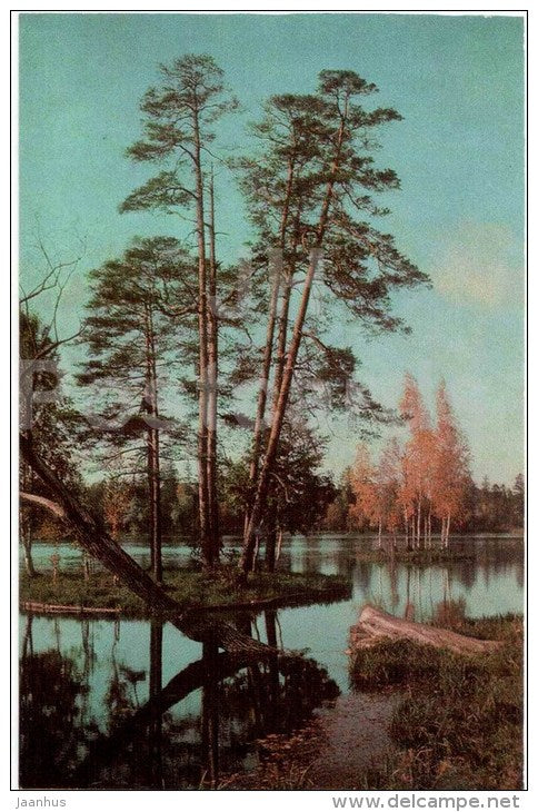 Palace park - Pine island on the White lake - Gatchina - 1973 - Russia USSR - unused - JH Postcards