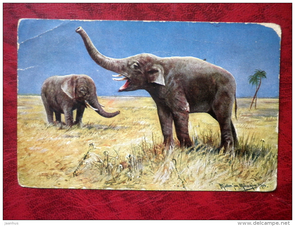elephants - animals - W S S B N° 6961 - circulated in 1948 - Estonia - used - JH Postcards