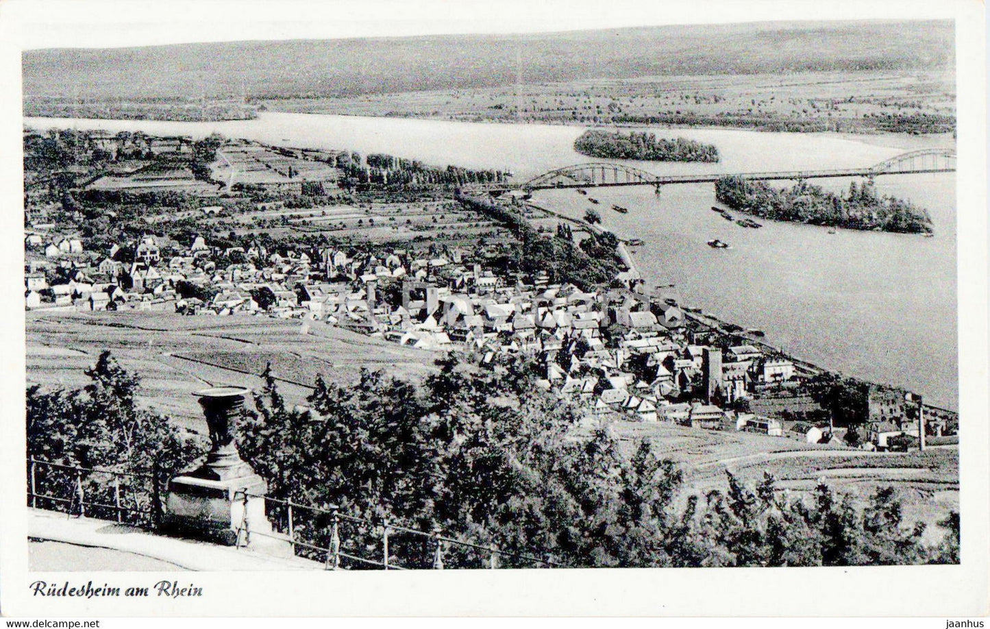Rudesheim am Rhein - 3337 - old postcard - Germany - unused - JH Postcards