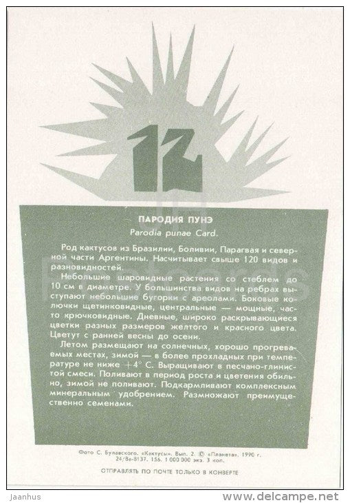 Parodia punae - cactus - plants - 1990 - Russia USSR - unused - JH Postcards