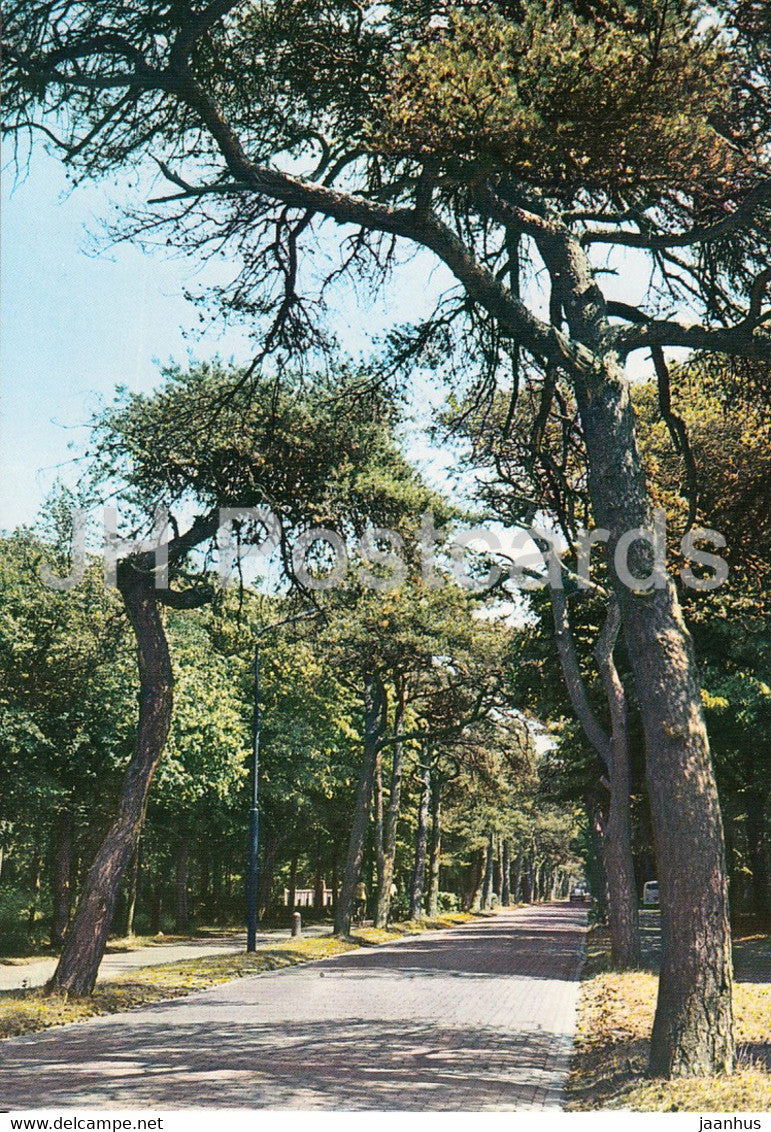 Groeten uit Bergen - Eeuwige Laan - 442 - Netherlands - unused - JH Postcards