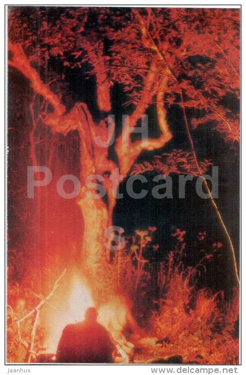 Tourists around the campfire - Kamchatka - in the land of volcanoes - 1971 - Russia USSR - unused - JH Postcards