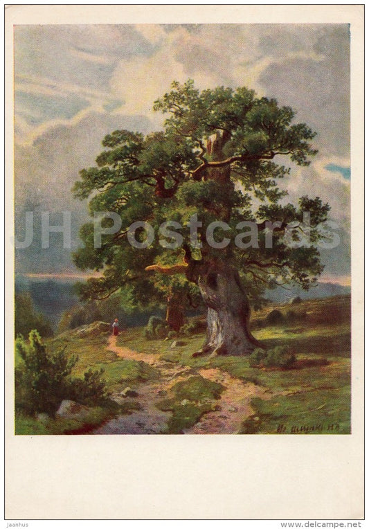 painting by I. Shishkin - Trees - Russian art - 1965 - Russia USSR - unused - JH Postcards