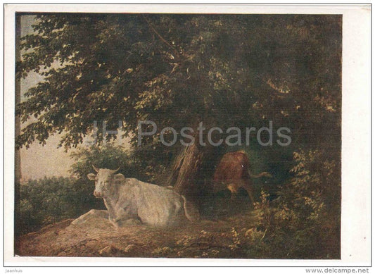 painting by M. Lebedev - Landscape with Cows - white cow - russian art - unused - JH Postcards