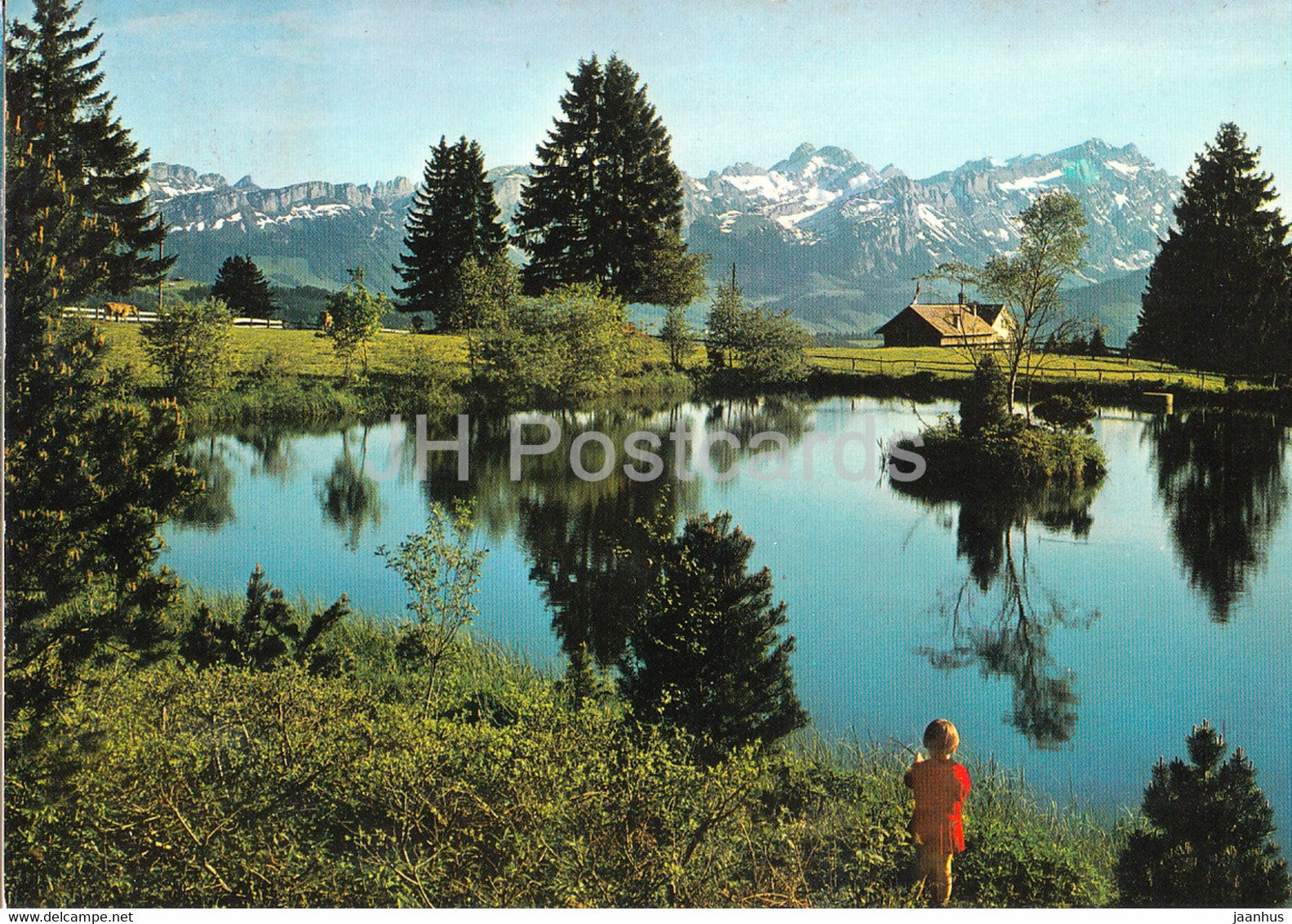 Auf dem Gabris ob Gais - Blick zum Alpstein - 1979 - Switzerland - used - JH Postcards