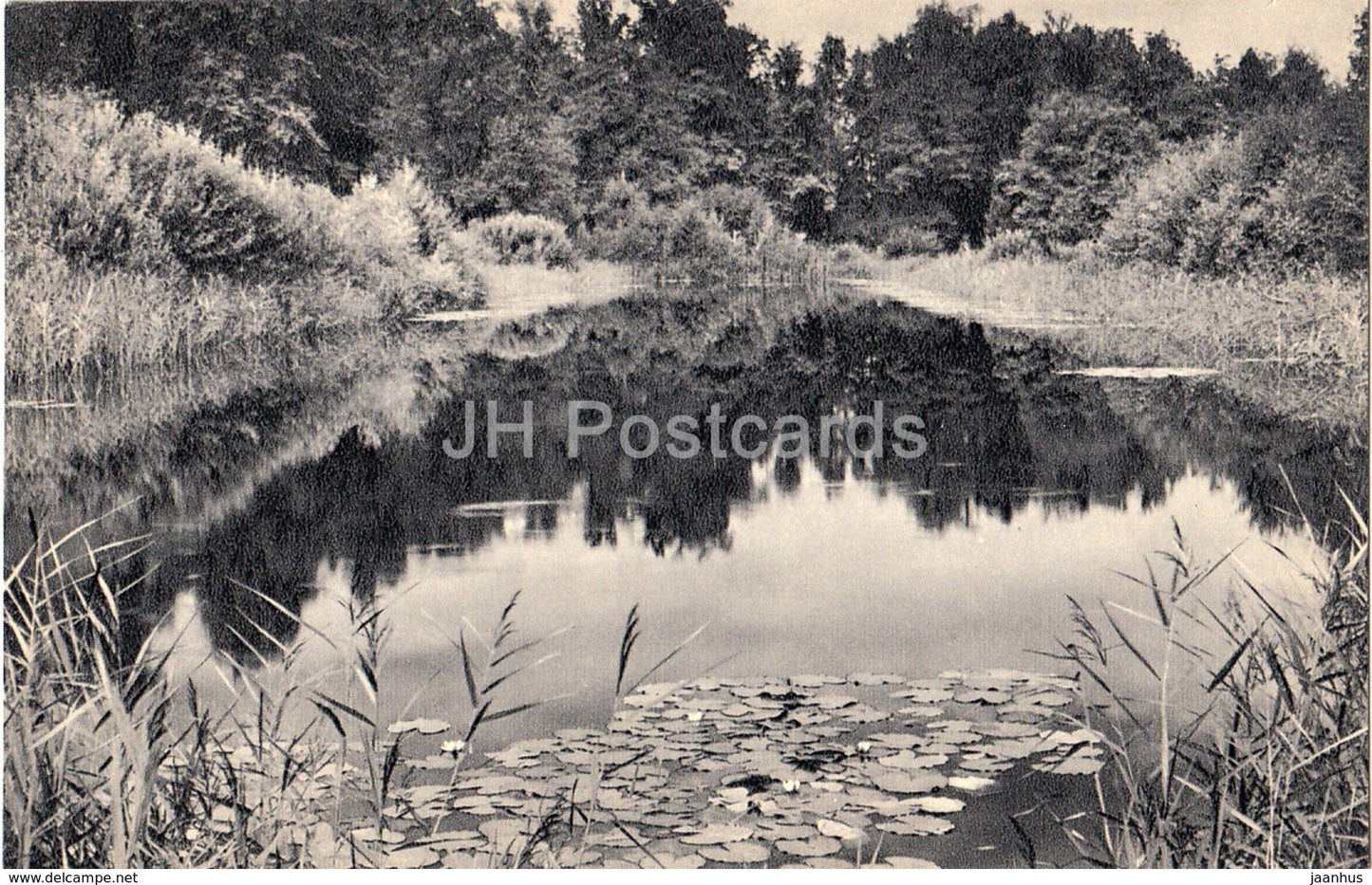 Trigorskoye - The Second Upper Pond - Pushkin Nature Reserve - 1968 - Russia USSR - unused - JH Postcards
