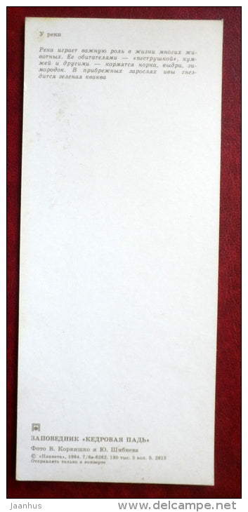 Kedrovaya Pad Nature Reserve - fishes , salmon trout , mink , otter , kingfisher - 1984 - Russia USSR - unused - JH Postcards