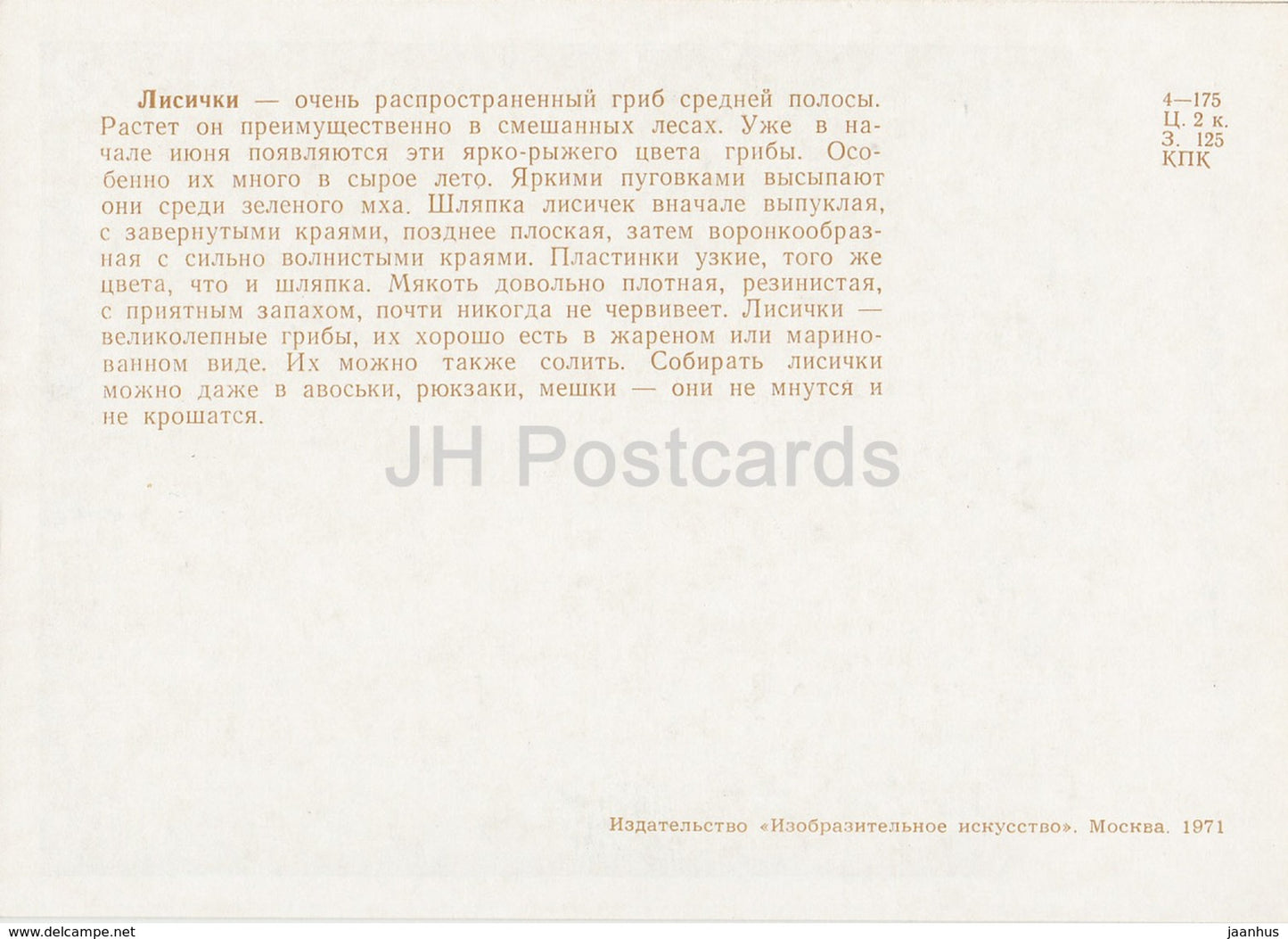 Chanterelle - Cantharellus cibarius - champignons - illustration - 1971 - Russie URSS - inutilisé