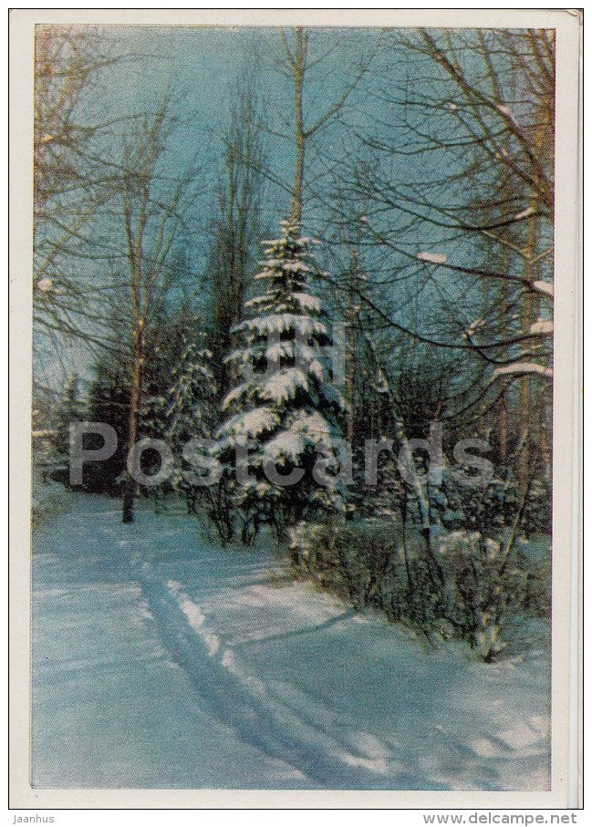 Moscow suburbs - winter forest - 1964 - Russia USSR - unused - JH Postcards