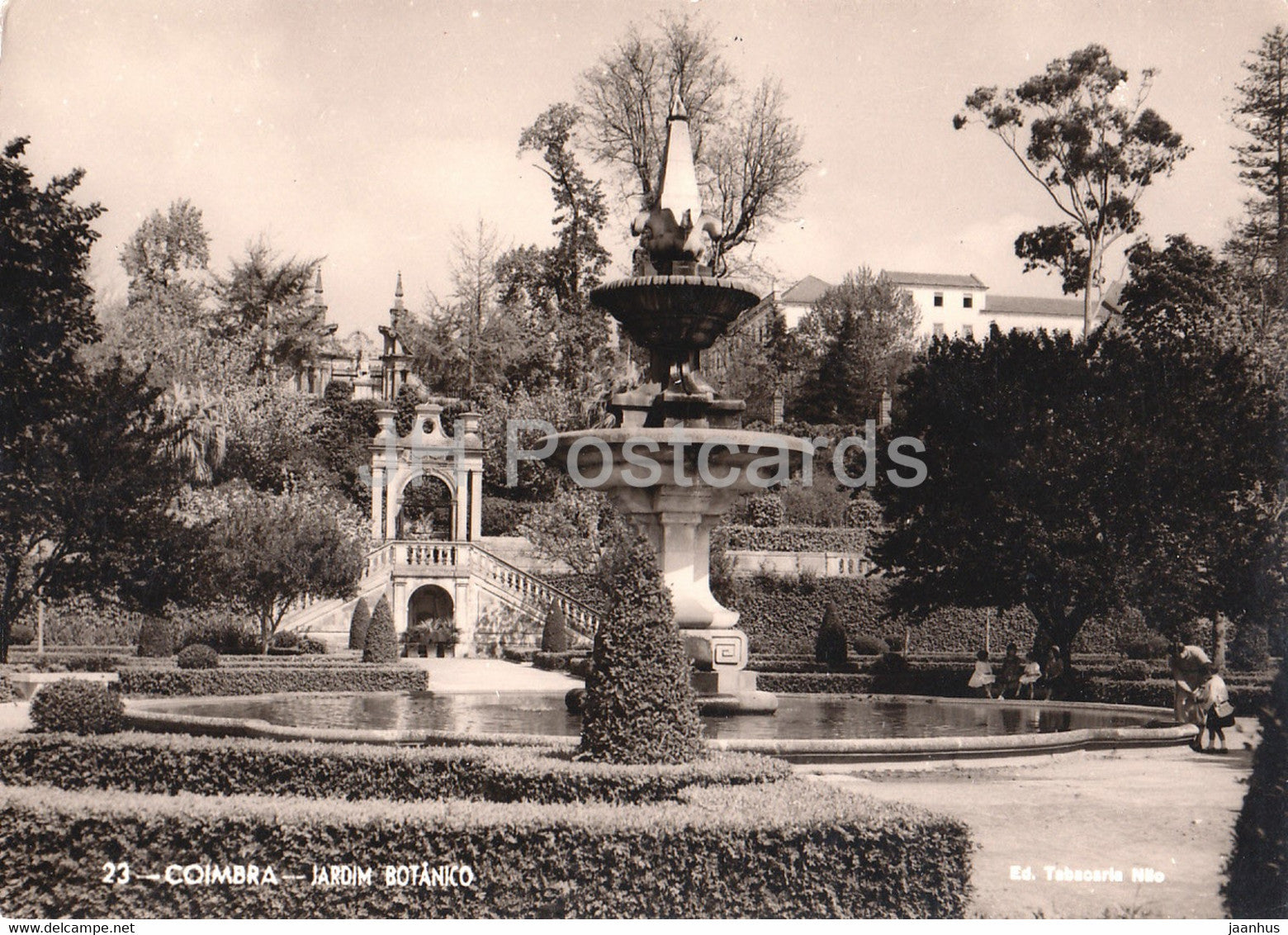 Coimbra - Jardim Botanico - botanical garden - 23 - 1964 - Portugal - used - JH Postcards