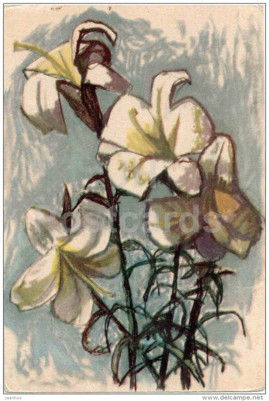 illustration by O. Subbi - white lily - flowers - 1962 - Estonia USSR - used - JH Postcards