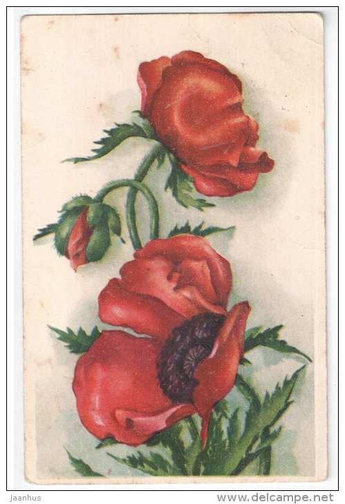 birthday greeting card - flowers - IL - old postcard - circulated in Estonia 1939 - used - JH Postcards