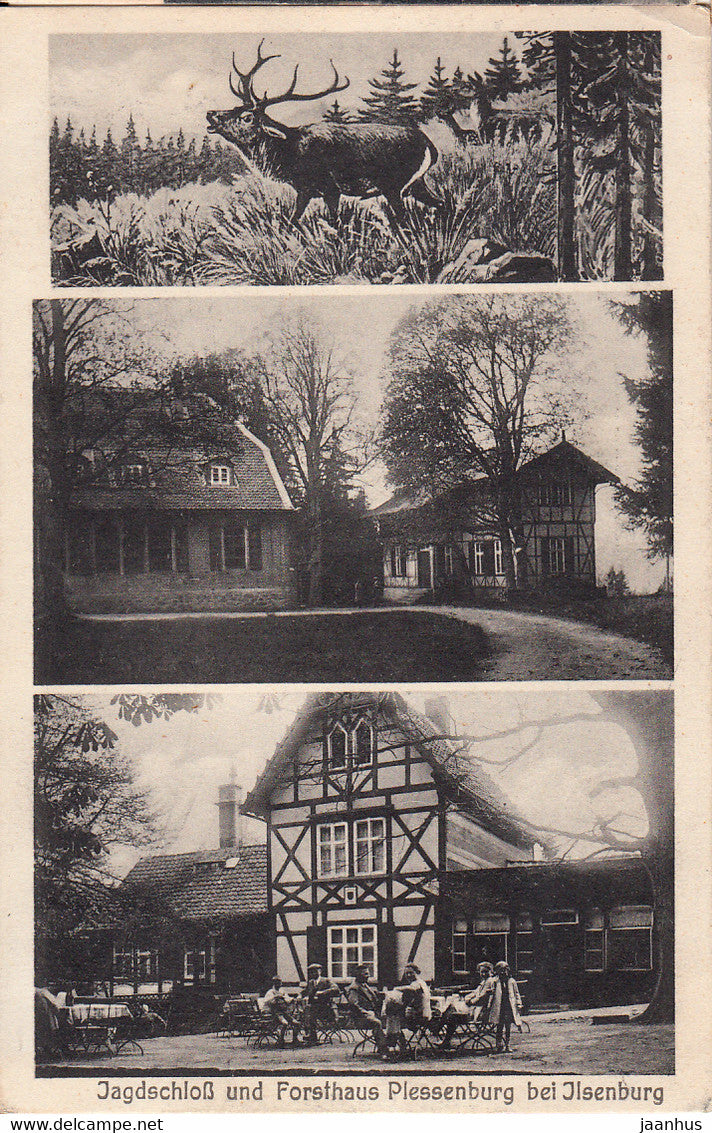 Jagdschloss und Forsthaus Plessenburg bei Ilsenburg - deer - hunting castle - old postcard - 1930 - Germany - used - JH Postcards