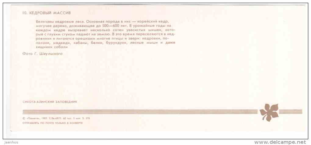 Cedar Array - Sikhote-Alin Nature Reserve - 1987 - Russia USSR - unused - JH Postcards