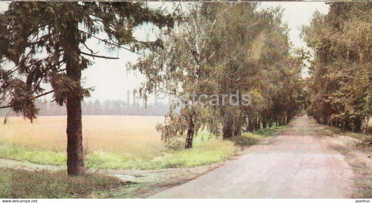 The drive by which Lenin used to come to Gorki - Lenin's House Museum - Gorki Leninskiye - 1981 - Russia USSR - unused - JH Postcards