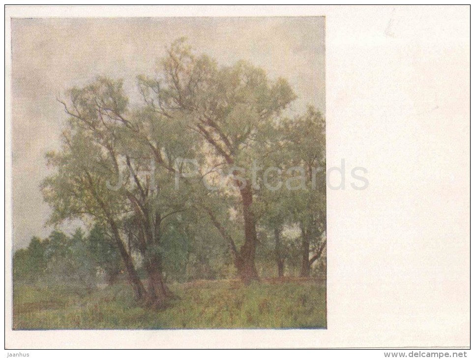 painting by A. Lebedev-Shuysky - Peredelkino . Silver Willow - russian art - unused - JH Postcards