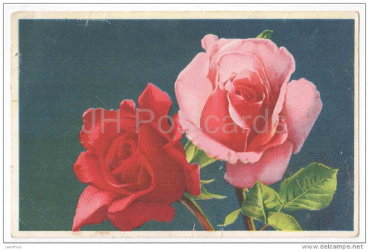 Greeting Card - Red Roses - flowers - Oktoober - old postcard - circulated in Estonia 1951 - JH Postcards