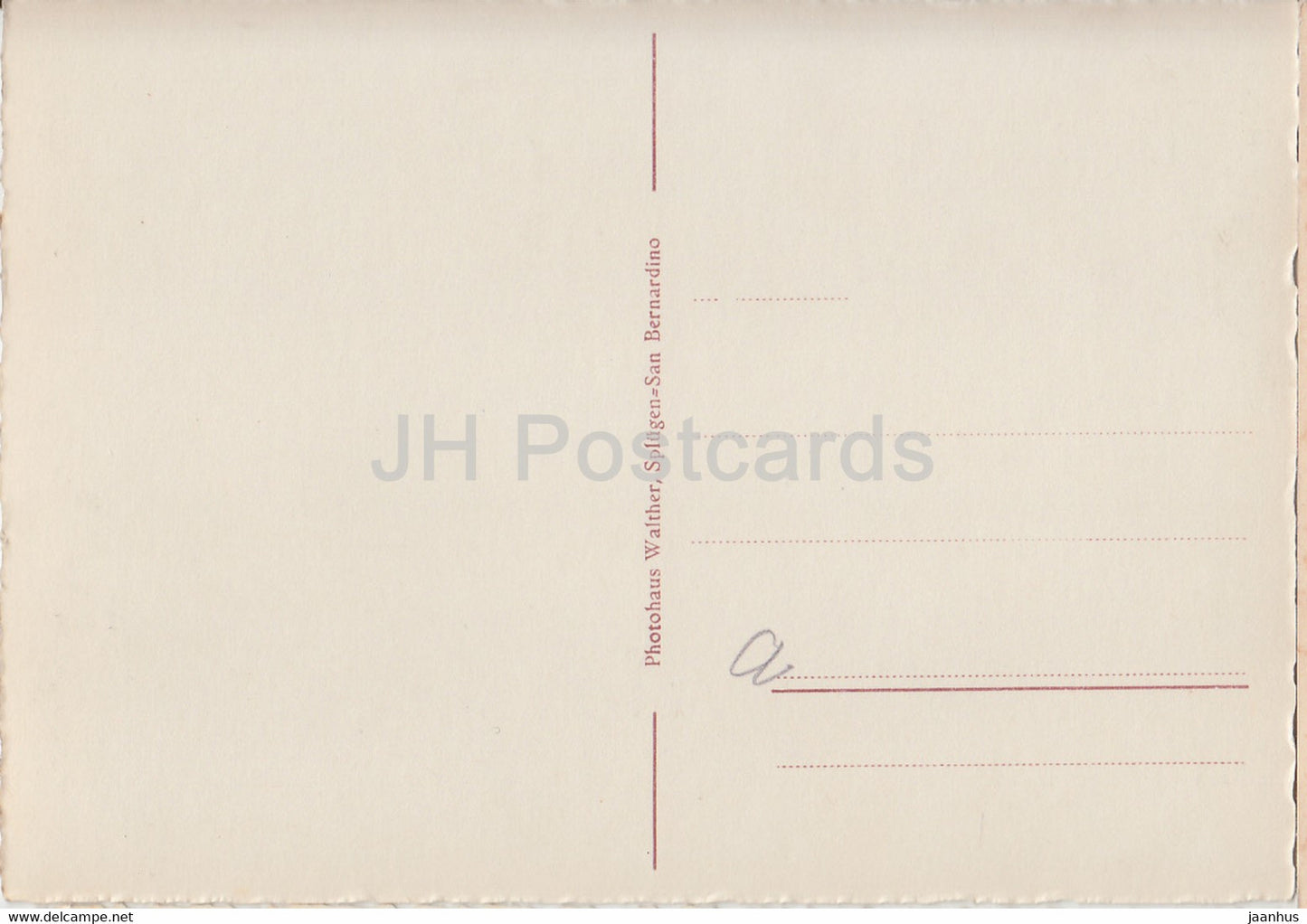 Edelweiss - flowers - 1 - old postcard - Switzerland - unused