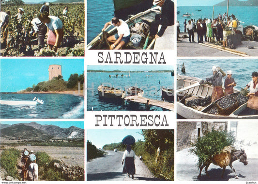 Sardegna Pittoresca - donkey - boat - multiview - 1966 - Italy - Italia - used - JH Postcards