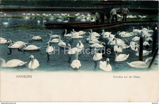Hamburg - Schwane auf der Alster - swan - birds - old postcard - Germany - unused - JH Postcards
