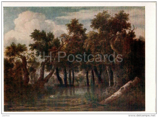 painting by Jacob van Ruisdael - The Swamp - dutch art - unused - JH Postcards