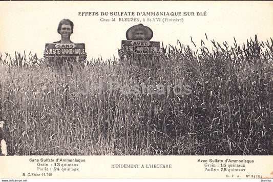 Effets du Sulfate d'Ammoniaque sur ble - Chez M Bleuzen - old postcard - France - unused - JH Postcards