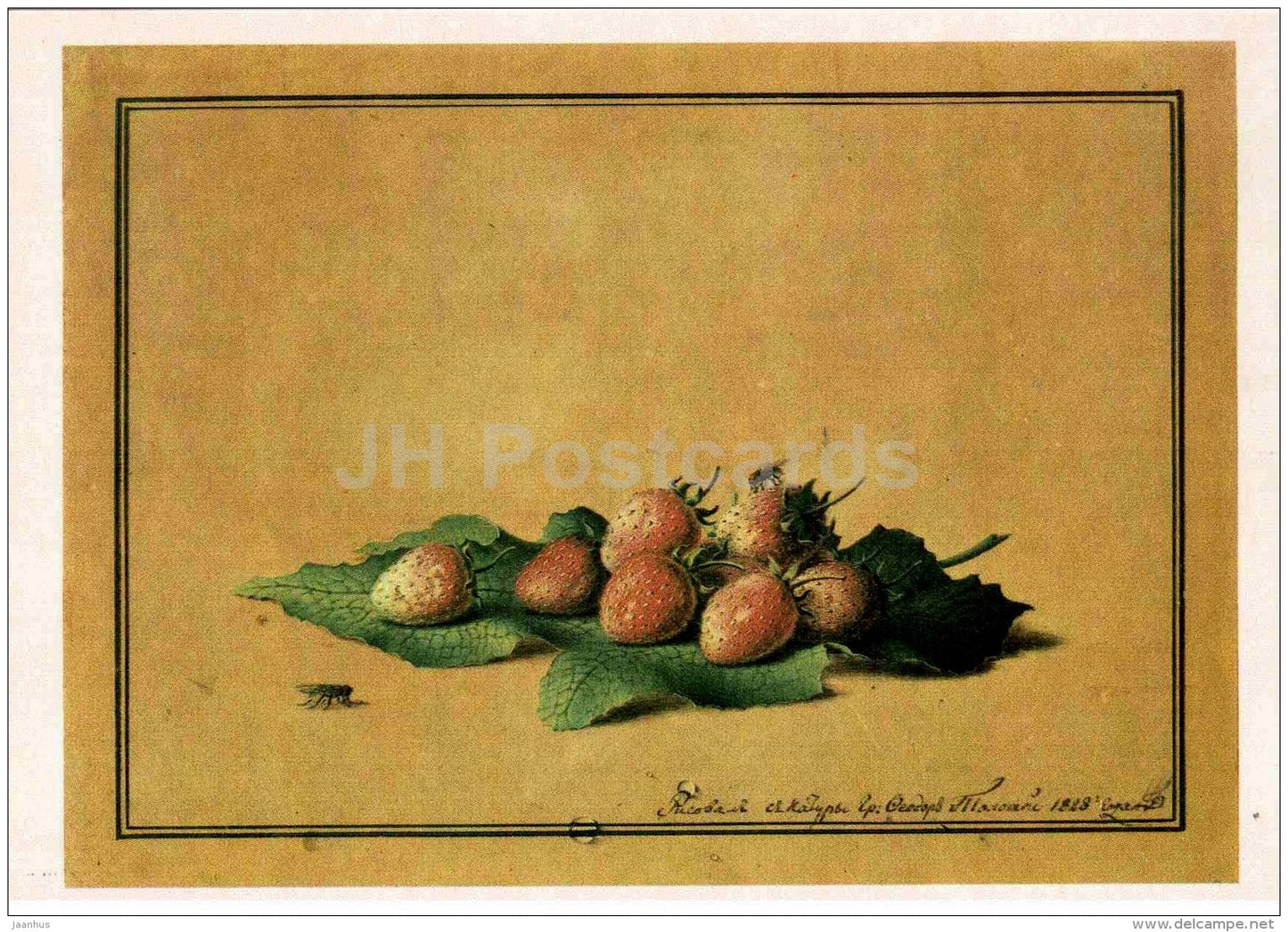 painting by F. Tolstoy - Strawberry , 1828 - fly - Russian art - 1984 - Russia USSR - unused - JH Postcards