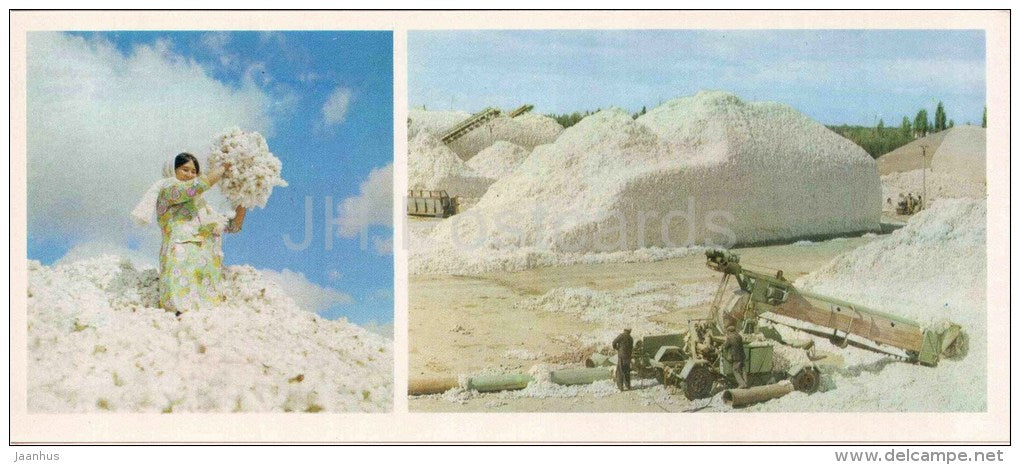 cotton - Karakalpakstan - 1974 - Uzbekistan USSR - unused - JH Postcards