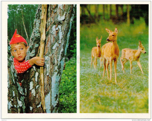 deer - boy wiht a bow - Nature Encounter - 1973 - Russia USSR - unused - JH Postcards