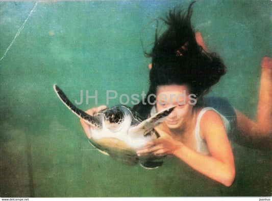 Batumi Dolphinarium - sea turtle - 1980 - Georgia USSR - unused - JH Postcards
