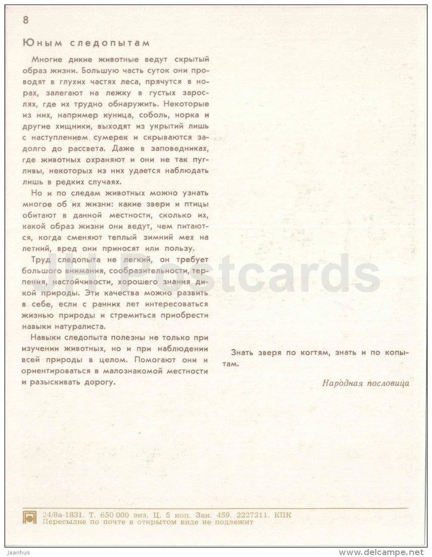 deer - boy wiht a bow - Nature Encounter - 1973 - Russia USSR - unused - JH Postcards