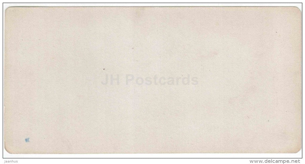 Source No. 17 - Yessentuki - Caucasus - Russia - Russie - stereo photo - stereoscopique - old photo - JH Postcards