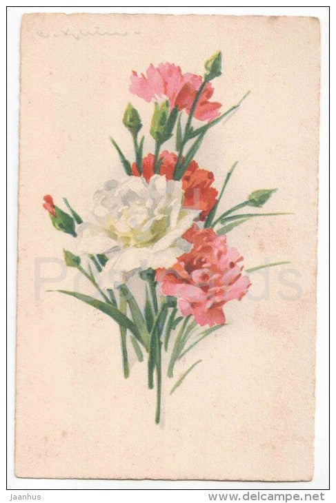 Greeting Card - signed by C.Klein - White , Red Carnation - flowers - HWB 1187 - old postcard - circulated in Estonia - JH Postcards