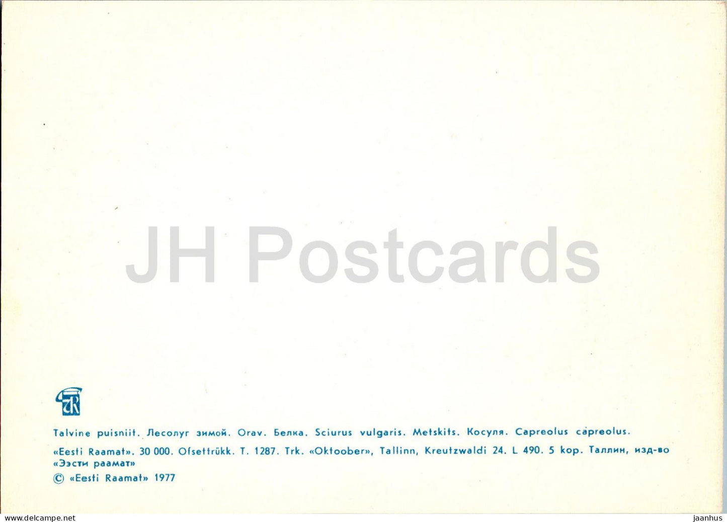 Red squirrel - Sciurus vulgaris - Roe deer - Capreolus capreolus - animals - 1977 - Estonia USSR - unused