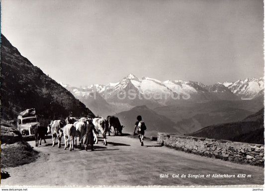 Col du Simplon et Aletschhorn 4182 m - cow - car - 6216 - 1966 - Switzerland - used - JH Postcards