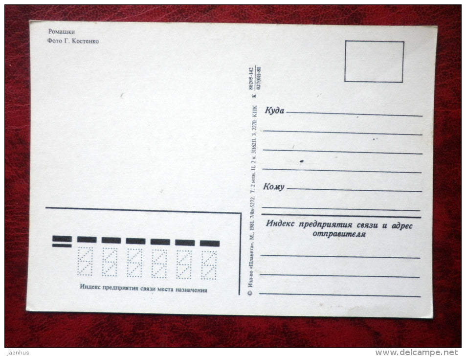 Birthday Greeting Card - daisies - flowers - 1981 - Russia - USSR - unused - JH Postcards