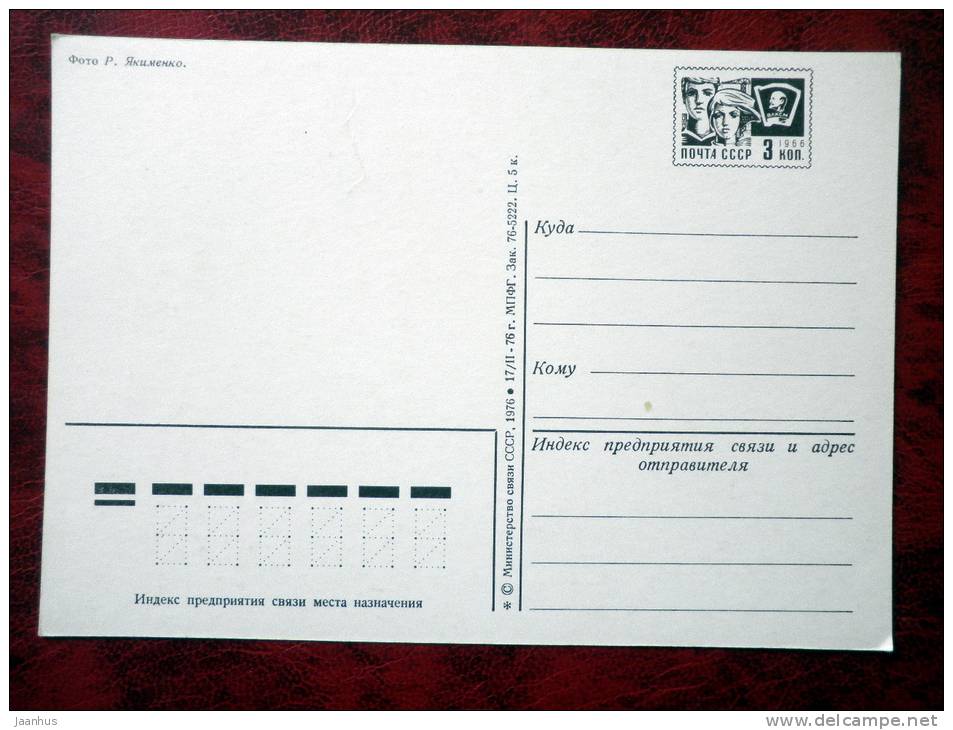 New Year greetings - birds - clock - 1976 - Russia - USSR - unused - JH Postcards