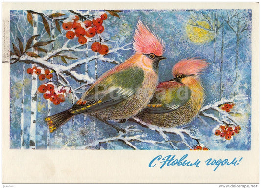 New Year greeting card by L. Manilova - birds - rowan - postal stationery - 1975 - Russia USSR - used - JH Postcards