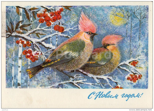 New Year greeting card by L. Manilova - birds - rowan - postal stationery - 1975 - Russia USSR - used - JH Postcards