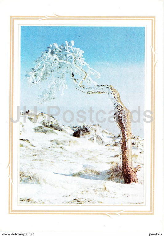 Winter - tree - Bulgaria - used - JH Postcards